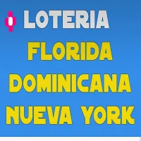 Lotería Nueva York Florida