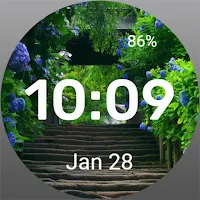 Stairs To The Garden