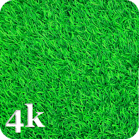 Green Wallpapers 4K