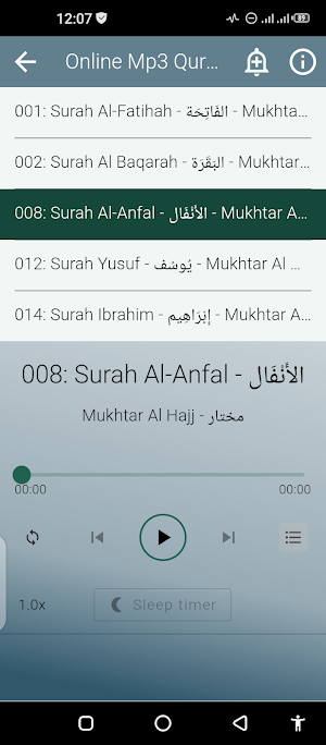 Mukhtar Al Hajj Offline Quran Screenshot 2