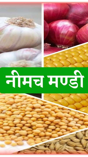 Neemuch Mandibhav Screenshot 0