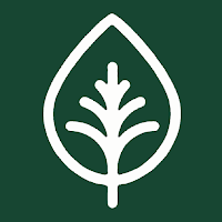 Superfood Market