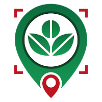 Mazraty