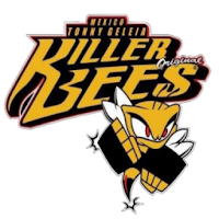 Killer Bees Timer