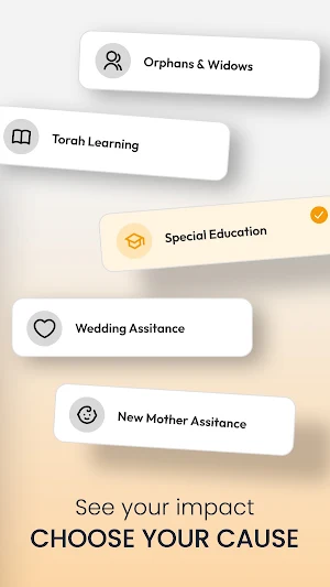 Rabbi Meir Baal Haness Pushka Screenshot 2