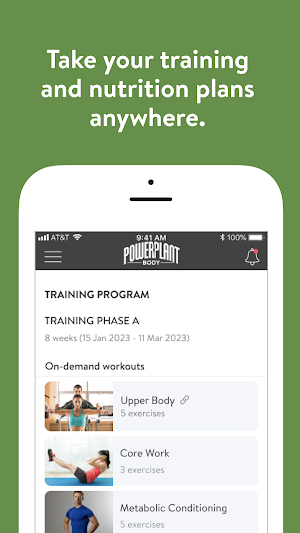 Powerplantbody Screenshot 2