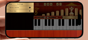 Street Organ Screenshot 3