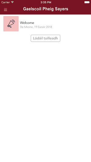 Gaelscoil Pheig Sayers Screenshot 2