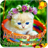 Хорошего дня