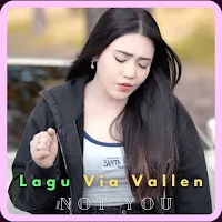 Lagu Via Vallen Not You