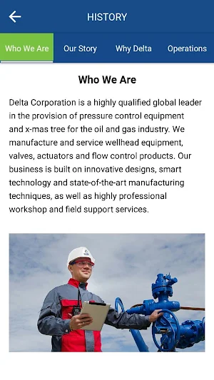 DELTA CORPORATION Screenshot 1