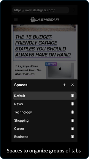 Pan Browser Screenshot 2