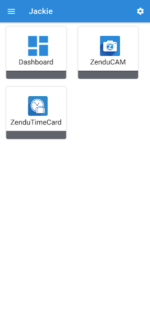 ZenduOne Screenshot 0