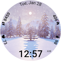 Winter Mountain Landscape WF