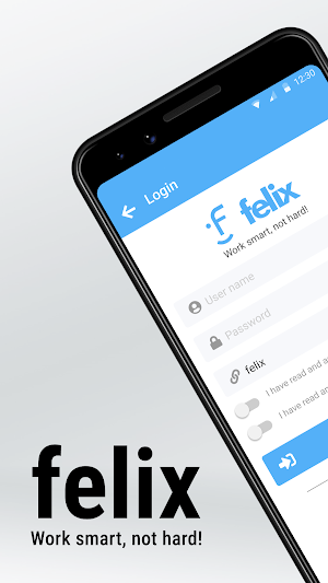 felix invoice Screenshot 0