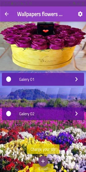 Wallpapers flowers purple Screenshot 2