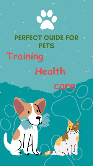 Premium Dog and Cat Training Screenshot 1