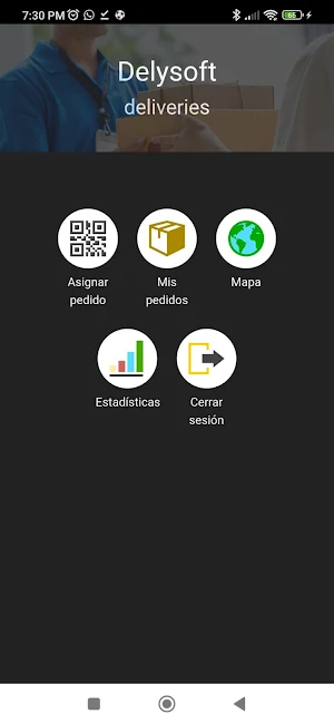 Delivery DS Screenshot 0