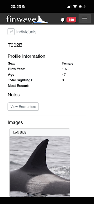 Finwave Screenshot 1
