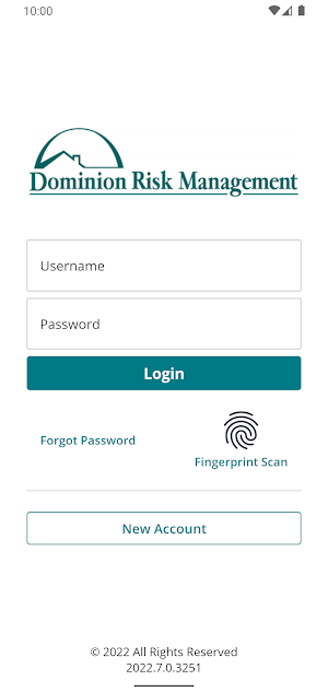 Dominion Risk Online Screenshot 0