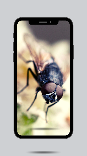 Fly Ringtone and sound Screenshot 0