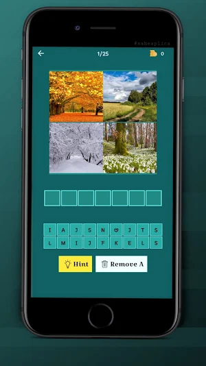 4 pics 1 word game Screenshot 1