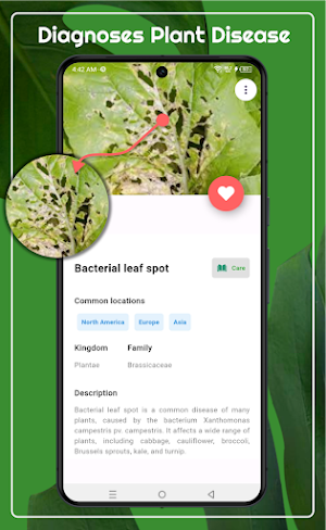 Plant Identifier by Picture Screenshot 2