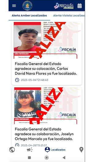 FGE del Estado de Guerrero Screenshot 3