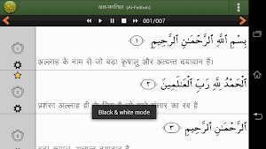 Quran Hindi Advanced (हिन्दी कुरान) Screenshot 3