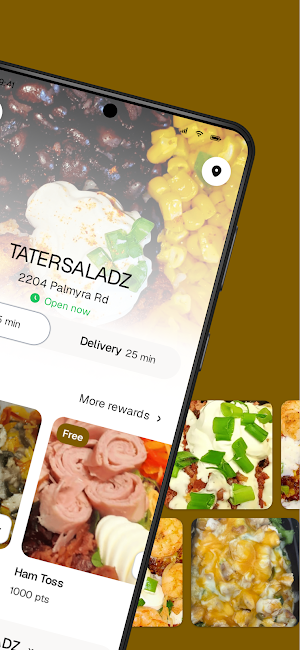 TATERSALADZ Screenshot 1