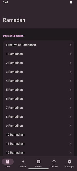 Ramadhan Kareem Screenshot 0