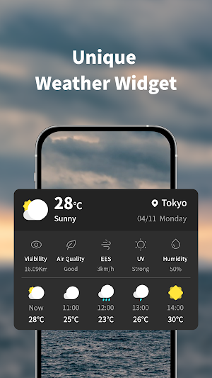Reliable Weather Screenshot 1