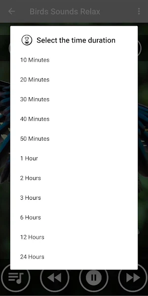 Relaxing Bird Chirping Sounds Screenshot 2