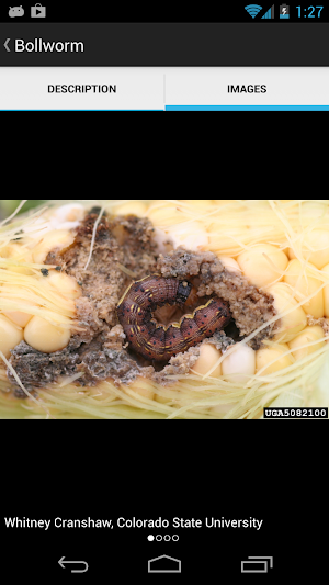 Great Lakes Vegetables Screenshot 3