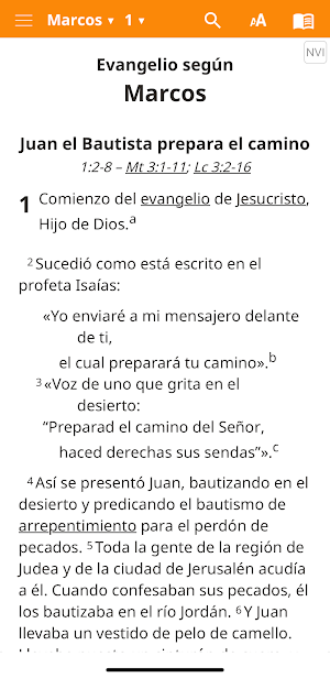 NVI Castellano Screenshot 0