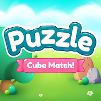 Puzzle Cube Match