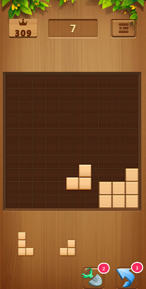 Brain Wooden Block Puzzle Screenshot 2