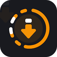 Video Downloader - Story Saver