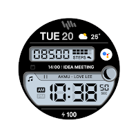 SamWatch Digital Amun 4