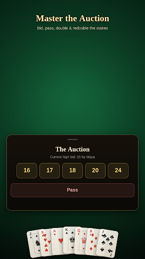 Royal 29 - Offline Card Game Screenshot 3