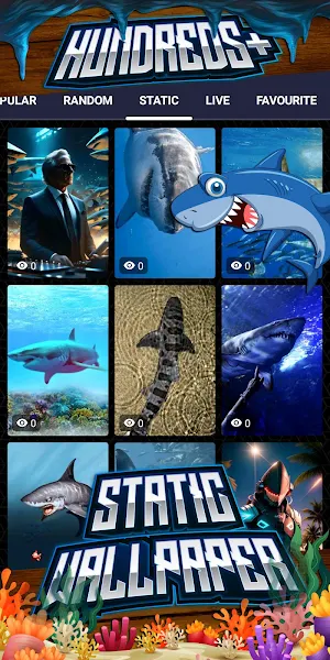 shark wallpaper Screenshot 3