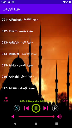 هزاع البلوشى قرأن كريم بصوت ممتاز بدون انترنت Screenshot 0