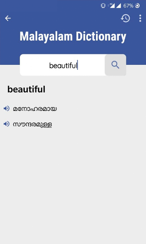 Malayalam English Translator - Chat Conversation Screenshot 3