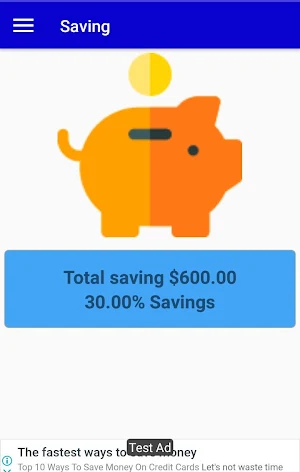 Expenses and Savings Screenshot 3