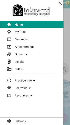 Briarwood Vet Screenshot 1