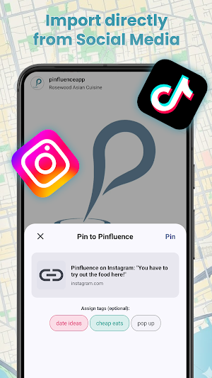 Pinfluence: Map your Feed Screenshot 1