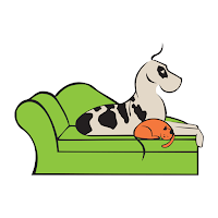 Creature Comforts Pet Resort