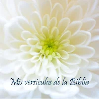 Mis versiculos de la Biblia