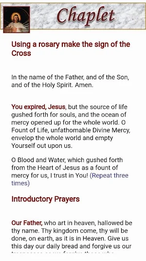 Divine Mercy Devotion Screenshot 3