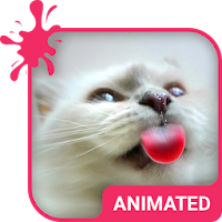 Cat Love Animated Keyboard + Live Wallpaper